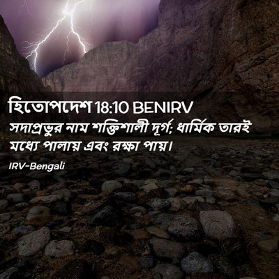 Picture 02 - হিতোপদেশ 18:10 BENIRV - সদাপ্রভুর নাম - Bible Verse Picture