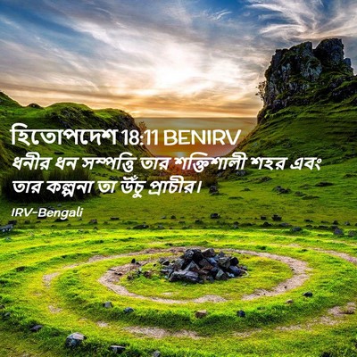 Picture 02 - হিতোপদেশ 18:11 BENIRV - ধনীর ধন সম্পত্তি - Bible Verse Picture