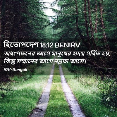 Picture 02 - হিতোপদেশ 18:12 BENIRV - অধঃপতনের আগে - Bible Verse Picture