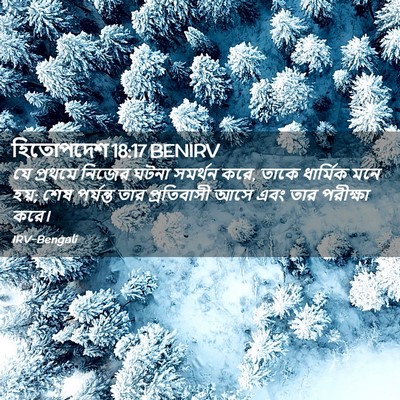 Picture 02 - হিতোপদেশ 18:17 BENIRV - যে প্রথমে নিজের - Bible Verse Picture