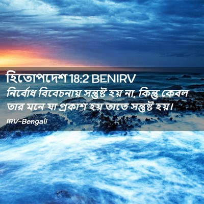 Picture 02 - হিতোপদেশ 18:2 BENIRV - নির্বোধ বিবেচনায় - Bible Verse Picture