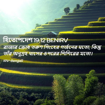 Picture 02 - হিতোপদেশ 19:12 BENIRV - রাজার ক্রোধ তরুণ - Bible Verse Picture