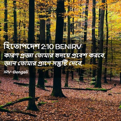 Picture 02 - হিতোপদেশ 2:10 BENIRV - কারণ প্রজ্ঞা - Bible Verse Picture