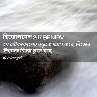 Picture 02 - হিতোপদেশ 2:17 BENIRV - যে যৌবনকালের - Bible Verse Picture