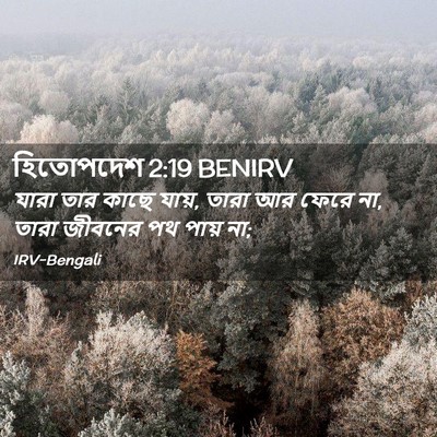Picture 02 - হিতোপদেশ 2:19 BENIRV - যারা তার কাছে যায়, - Bible Verse Picture
