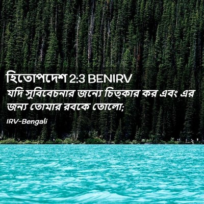 Picture 02 - হিতোপদেশ 2:3 BENIRV - যদি সুবিবেচনার - Bible Verse Picture