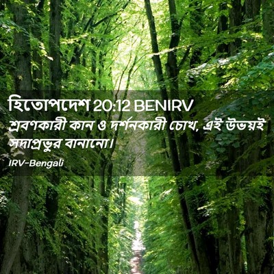 Picture 02 - হিতোপদেশ 20:12 BENIRV - শ্রবণকারী কান ও - Bible Verse Picture