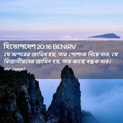 Picture 02 - হিতোপদেশ 20:16 BENIRV - যে অপরের জামিন হয়, - Bible Verse Picture