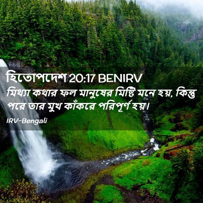 Picture 02 - হিতোপদেশ 20:17 BENIRV - মিথ্যা কথার ফল - Bible Verse Picture