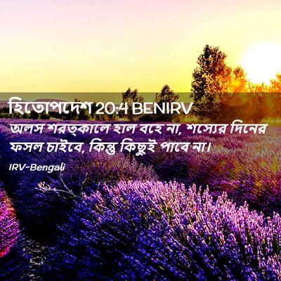 Picture 02 - হিতোপদেশ 20:4 BENIRV - অলস শরত্কালে হাল - Bible Verse Picture