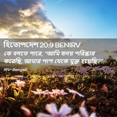 Picture 02 - হিতোপদেশ 20:9 BENIRV - কে বলতে পারে, “আমি - Bible Verse Picture