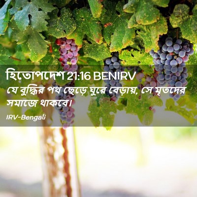 Picture 02 - হিতোপদেশ 21:16 BENIRV - যে বুদ্ধির পথ - Bible Verse Picture