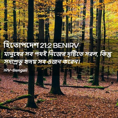 Picture 02 - হিতোপদেশ 21:2 BENIRV - মানুষের সব পথই - Bible Verse Picture