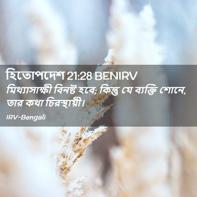 Picture 02 - হিতোপদেশ 21:28 BENIRV - মিথ্যাসাক্ষী - Bible Verse Picture