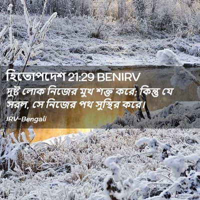 Picture 02 - হিতোপদেশ 21:29 BENIRV - দুষ্ট লোক নিজের - Bible Verse Picture