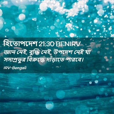 Picture 02 - হিতোপদেশ 21:30 BENIRV - জ্ঞান নেই, বুদ্ধি - Bible Verse Picture