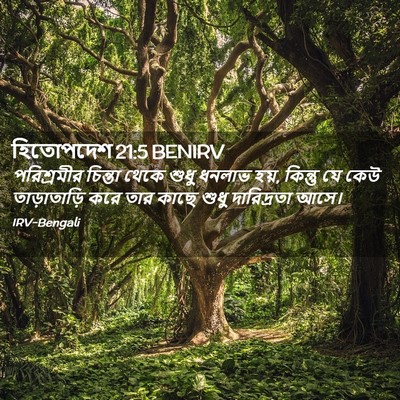 Picture 02 - হিতোপদেশ 21:5 BENIRV - পরিশ্রমীর চিন্তা - Bible Verse Picture