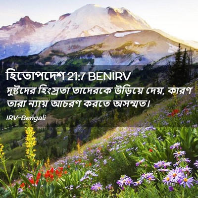 Picture 02 - হিতোপদেশ 21:7 BENIRV - দুষ্টদের হিংস্রতা - Bible Verse Picture