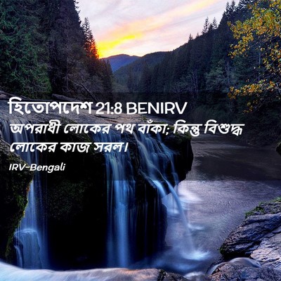 Picture 02 - হিতোপদেশ 21:8 BENIRV - অপরাধী লোকের পথ - Bible Verse Picture