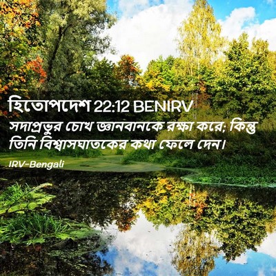Picture 02 - হিতোপদেশ 22:12 BENIRV - সদাপ্রভুর চোখ - Bible Verse Picture