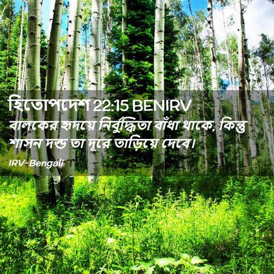 Picture 02 - হিতোপদেশ 22:15 BENIRV - বালকের হৃদয়ে - Bible Verse Picture