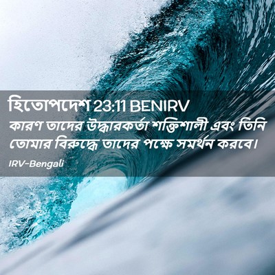 Picture 02 - হিতোপদেশ 23:11 BENIRV - কারণ তাদের - Bible Verse Picture