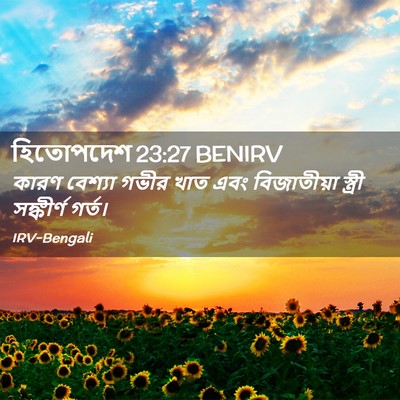 Picture 02 - হিতোপদেশ 23:27 BENIRV - কারণ বেশ্যা গভীর - Bible Verse Picture