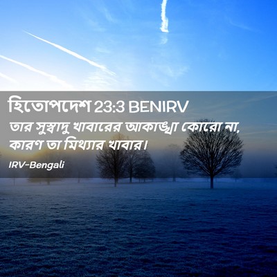Picture 02 - হিতোপদেশ 23:3 BENIRV - তার সুস্বাদু - Bible Verse Picture