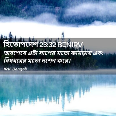 Picture 02 - হিতোপদেশ 23:32 BENIRV - অবশেষে এটা সাপের - Bible Verse Picture