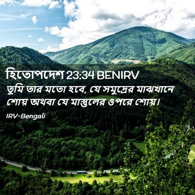 Picture 02 - হিতোপদেশ 23:34 BENIRV - তুমি তার মতো হবে, - Bible Verse Picture
