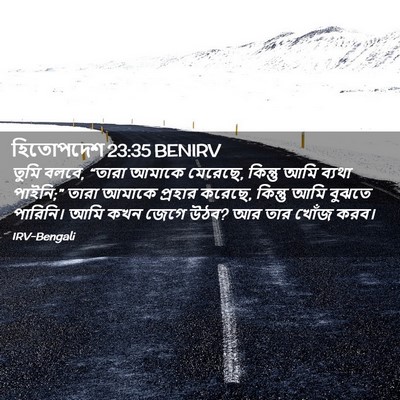 Picture 02 - হিতোপদেশ 23:35 BENIRV - তুমি বলবে, “তারা - Bible Verse Picture