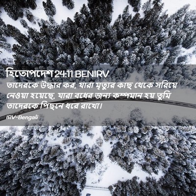 Picture 02 - হিতোপদেশ 24:11 BENIRV - তাদেরকে উদ্ধার কর, - Bible Verse Picture