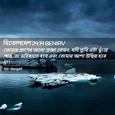 Picture 02 - হিতোপদেশ 24:14 BENIRV - তোমার প্রাণের - Bible Verse Picture