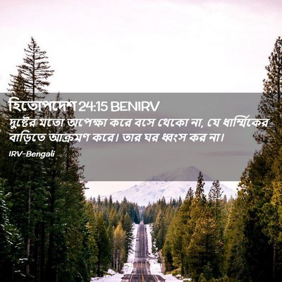 Picture 02 - হিতোপদেশ 24:15 BENIRV - দুষ্টের মতো - Bible Verse Picture