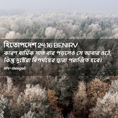 Picture 02 - হিতোপদেশ 24:16 BENIRV - কারণ ধার্মিক সাত - Bible Verse Picture