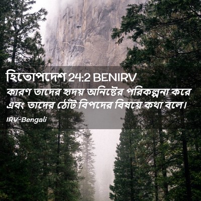 Picture 02 - হিতোপদেশ 24:2 BENIRV - কারণ তাদের হৃদয় - Bible Verse Picture