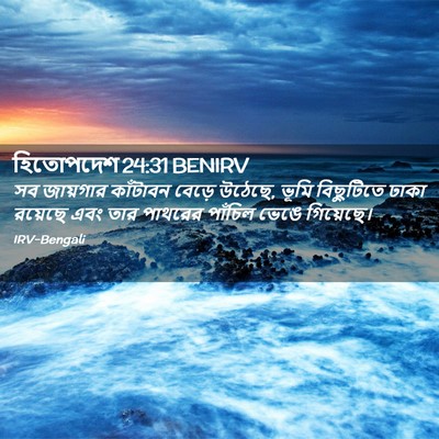 Picture 02 - হিতোপদেশ 24:31 BENIRV - সব জায়গার - Bible Verse Picture