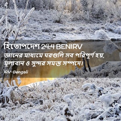 Picture 02 - হিতোপদেশ 24:4 BENIRV - জ্ঞানের মাধ্যমে - Bible Verse Picture