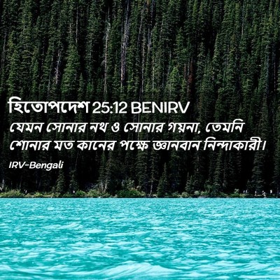 Picture 02 - হিতোপদেশ 25:12 BENIRV - যেমন সোনার নথ ও - Bible Verse Picture