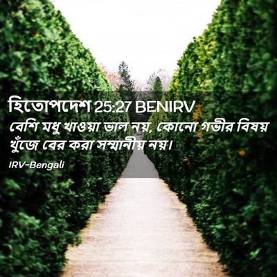 Picture 02 - হিতোপদেশ 25:27 BENIRV - বেশি মধু খাওয়া - Bible Verse Picture