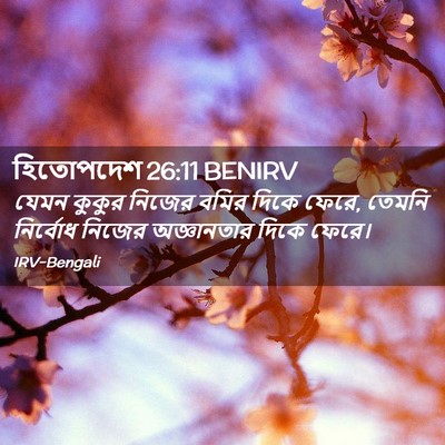 Picture 02 - হিতোপদেশ 26:11 BENIRV - যেমন কুকুর নিজের - Bible Verse Picture