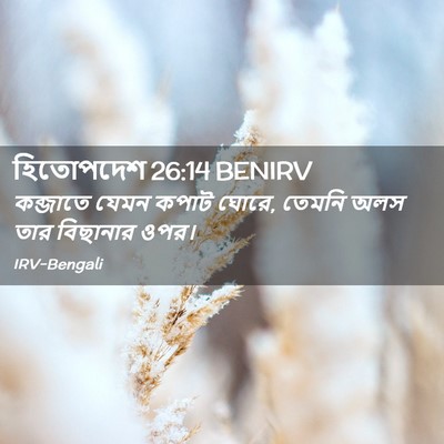 Picture 02 - হিতোপদেশ 26:14 BENIRV - কব্জাতে যেমন কপাট - Bible Verse Picture