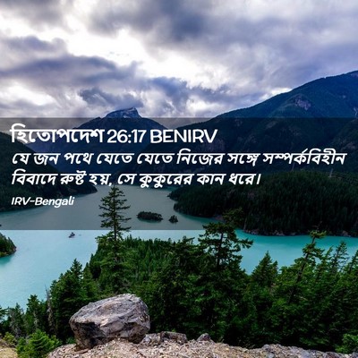 Picture 02 - হিতোপদেশ 26:17 BENIRV - যে জন পথে যেতে যেতে - Bible Verse Picture