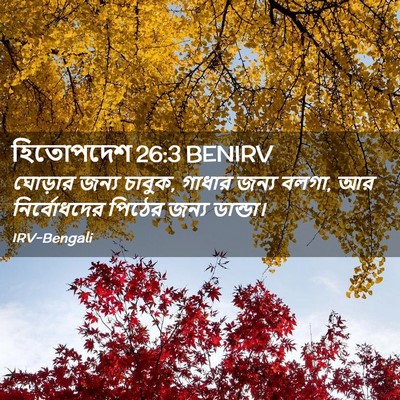 Picture 02 - হিতোপদেশ 26:3 BENIRV - ঘোড়ার জন্য চাবুক, - Bible Verse Picture