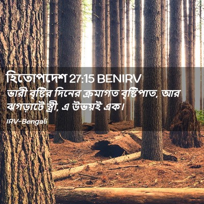 Picture 02 - হিতোপদেশ 27:15 BENIRV - ভারী বৃষ্টির - Bible Verse Picture