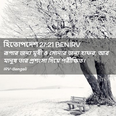 Picture 02 - হিতোপদেশ 27:21 BENIRV - রূপার জন্য মূষী ও - Bible Verse Picture