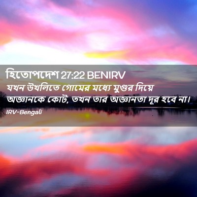 Picture 02 - হিতোপদেশ 27:22 BENIRV - যখন উখলিতে গোমের - Bible Verse Picture