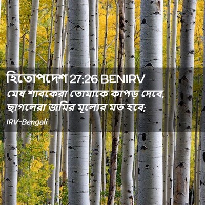 Picture 02 - হিতোপদেশ 27:26 BENIRV - মেষ শাবকেরা - Bible Verse Picture