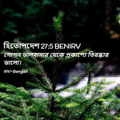 Picture 02 - হিতোপদেশ 27:5 BENIRV - গোপন ভালবাসার - Bible Verse Picture