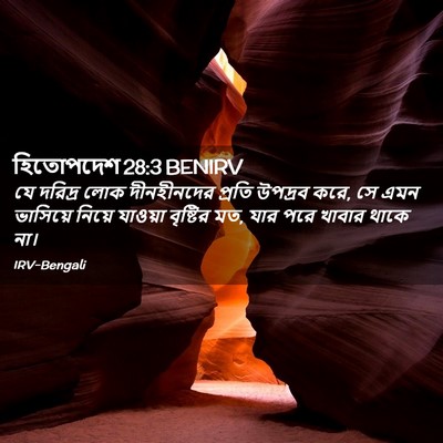 Picture 02 - হিতোপদেশ 28:3 BENIRV - যে দরিদ্র লোক - Bible Verse Picture